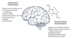 piece of brain emotional